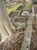 image of grave number 370327